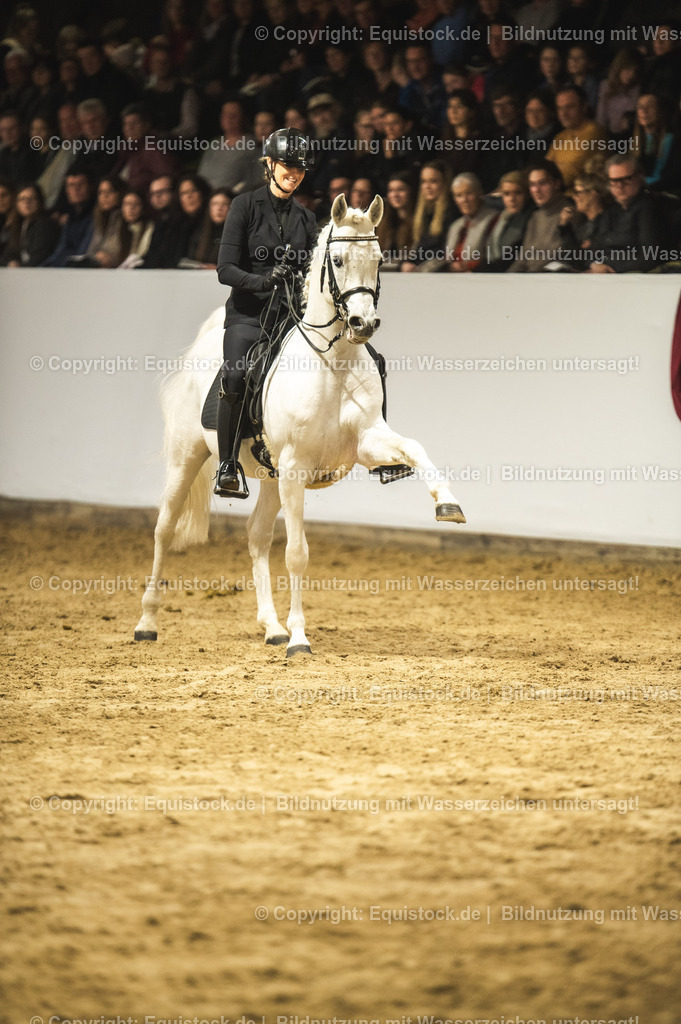 20240302_Hengstvorstellung_Marbach_TOMsPiC_1118 | equistock