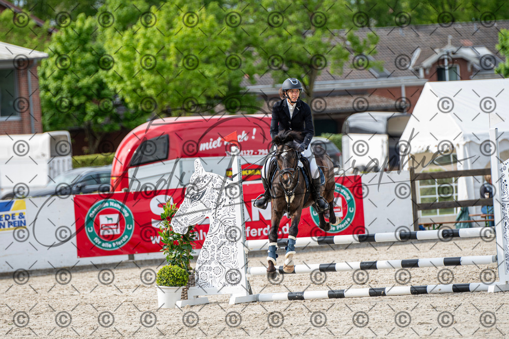 KPT_6611 | andre_photographic