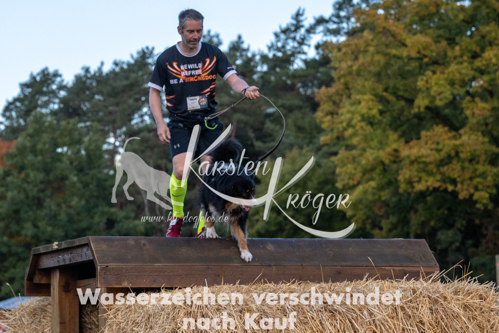 0818_ZZ90329 | kk-dogfotos