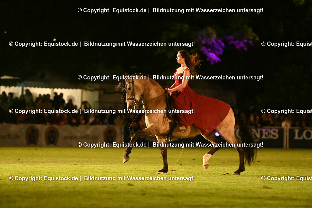 20230526_Pferdenacht_1390 | equistock