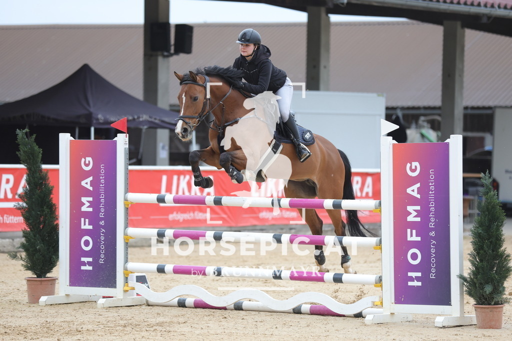 0P6A3206 | Willkommen bei Brunnmayr - Design & Fotografie – Ihrem Spezialisten für Reitturniere und Pferdeveranstaltungen in Oberösterreich, Salzburg und Bayern! Seit über 17 Jahren sind wir leidenschaftlich dabei.