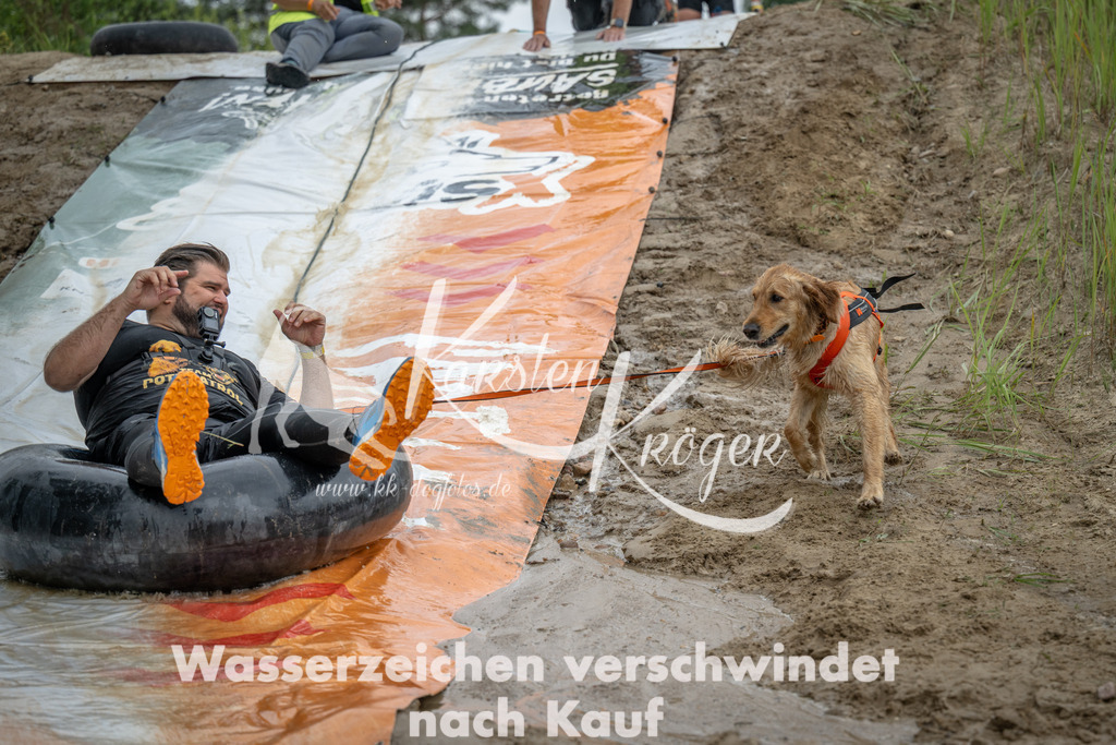 1531_ZZ97662 | kk-dogfotos