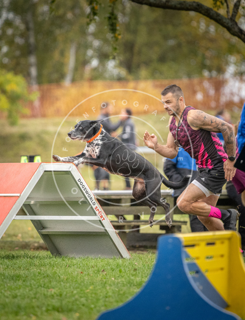 Pfotenfotografie_DV3A0266 | Hundefotografie, Tierfotograf, Pfotenfotografie, Fotoshooting Hund, Hunde Portrait, Hundesport, Hundeportraits, Heideshooting, Hunde, Sportfotograf, Hundefotograf, Turnierhundsport, THS,  - Realisiert mit Pictrs.com