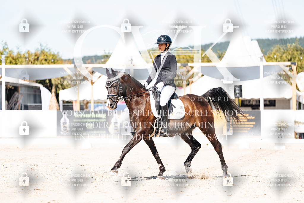 CK909597 | Turnierfotografie Pferdefotografie Trier Rheinland-Pfalz Pferdesport Reitsport Tierfotografie Sportfotografie Pferdevideo Pferdevideografie Equestrianvideography equestrianphotography  - Realisiert mit Pictrs.com