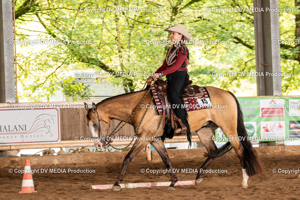 Erbach Tag 1-268 | dv-media-shop - Realisiert mit Pictrs.com