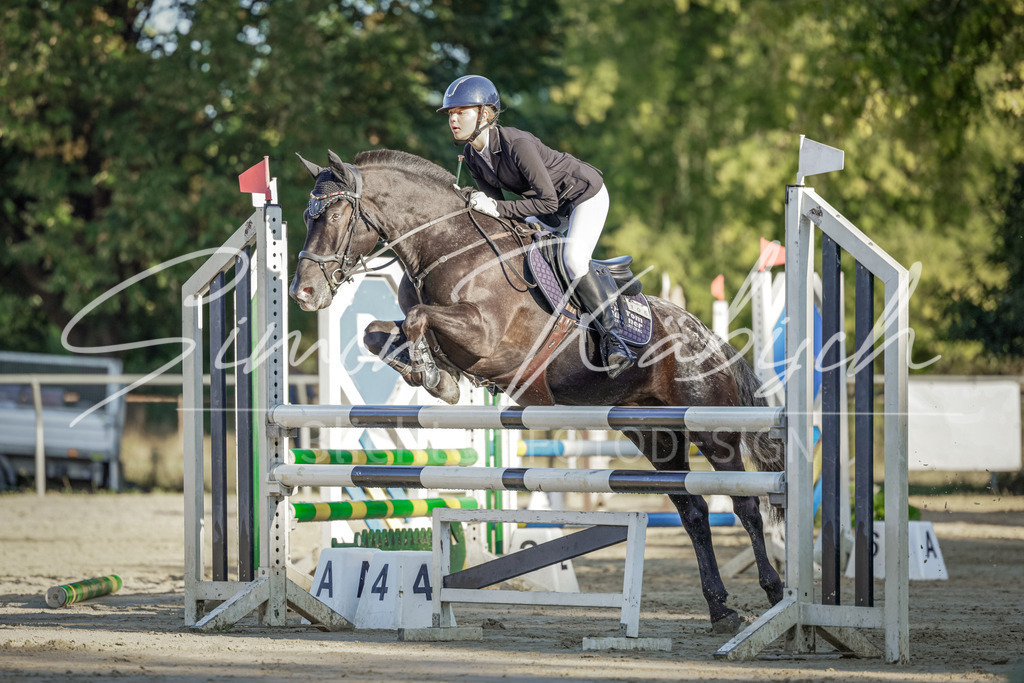 20250906-_3LI2995 | Tierfotografie Pferde, Hunde, Katzen, Haustiere.
Turnierfotografie Reitturniere, Reiten, Springreiten, Dressur in Hanau, dem Main-Kinzig-Kreis und dem Rhein-Main- Gebiet um Frankfurt