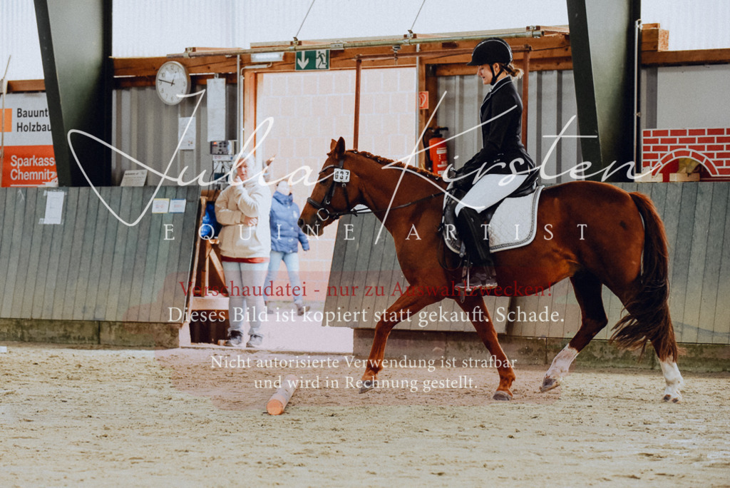 DSC_6772 | Pferde- und Turnierfotografie in Westsachsen. Pferdeportraits, Auftragszeichnungen und intuitive Kunst.