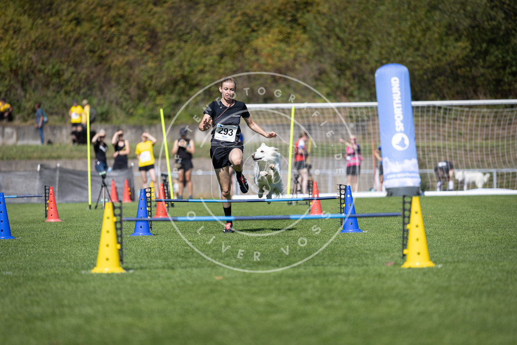 Pfotenfotografie_DV3A7537 | Hundefotografie, Tierfotograf, Pfotenfotografie, Fotoshooting Hund, Hunde Portrait, Hundesport, Hundeportraits, Heideshooting, Hunde, Sportfotograf, Hundefotograf, Turnierhundsport, THS,  - Realisiert mit Pictrs.com