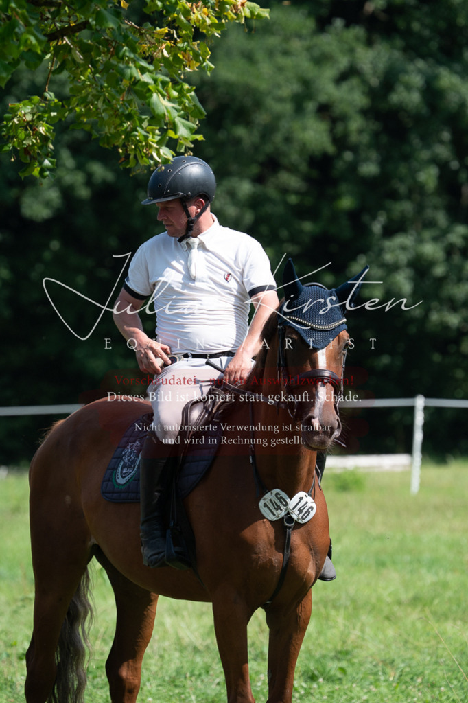 DSC_0601 | Pferde- und Turnierfotografie in Westsachsen. Pferdeportraits, Auftragszeichnungen und intuitive Kunst.