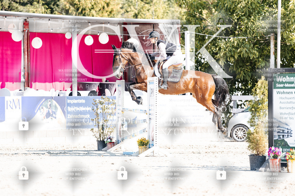 CK902218 | Turnierfotografie Pferdefotografie Trier Rheinland-Pfalz Pferdesport Reitsport Tierfotografie Sportfotografie Pferdevideo Pferdevideografie Equestrianvideography equestrianphotography  - Realisiert mit Pictrs.com