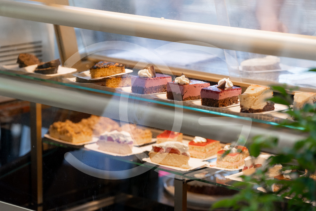 DSC09951 | Carolin Gieschke