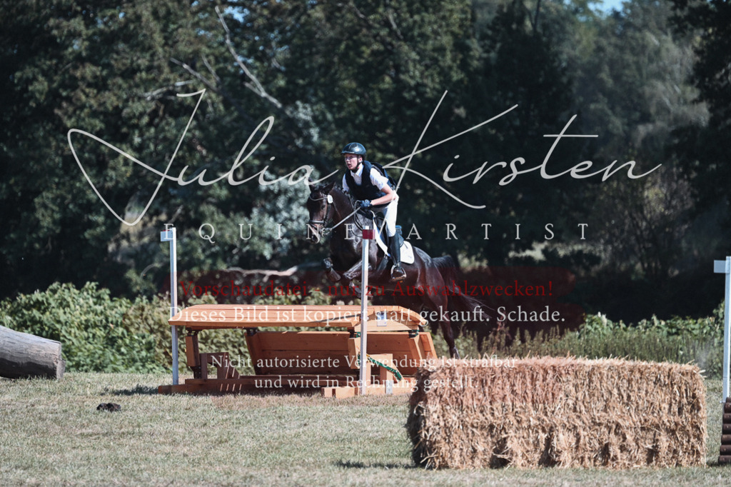 DSC_8448 | Pferde- und Turnierfotografie in Westsachsen. Pferdeportraits, Auftragszeichnungen und intuitive Kunst.