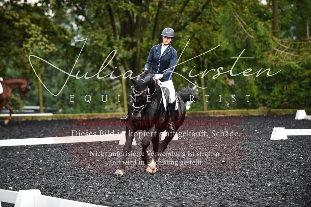 DSC_2874 | Pferde- und Turnierfotografie in Westsachsen. Pferdeportraits, Auftragszeichnungen und intuitive Kunst.