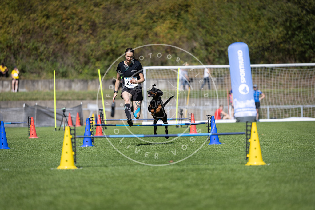Pfotenfotografie_DV3A7679 | Hundefotografie, Tierfotograf, Pfotenfotografie, Fotoshooting Hund, Hunde Portrait, Hundesport, Hundeportraits, Heideshooting, Hunde, Sportfotograf, Hundefotograf, Turnierhundsport, THS,  - Realisiert mit Pictrs.com
