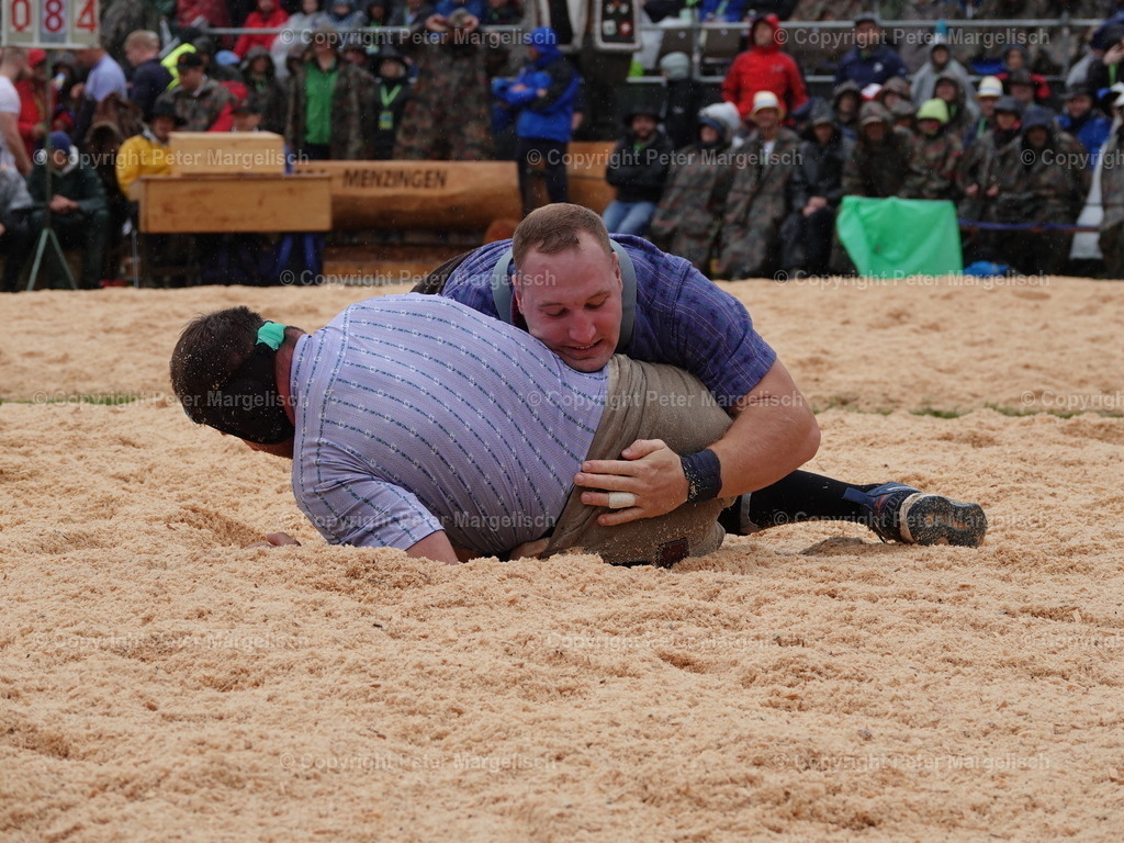 DSC07972 | Schwingen - Realisiert mit Pictrs.com