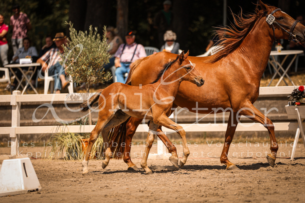 03.DoAB00055 | Leoni Ertmer Photography - Realisiert mit Pictrs.com