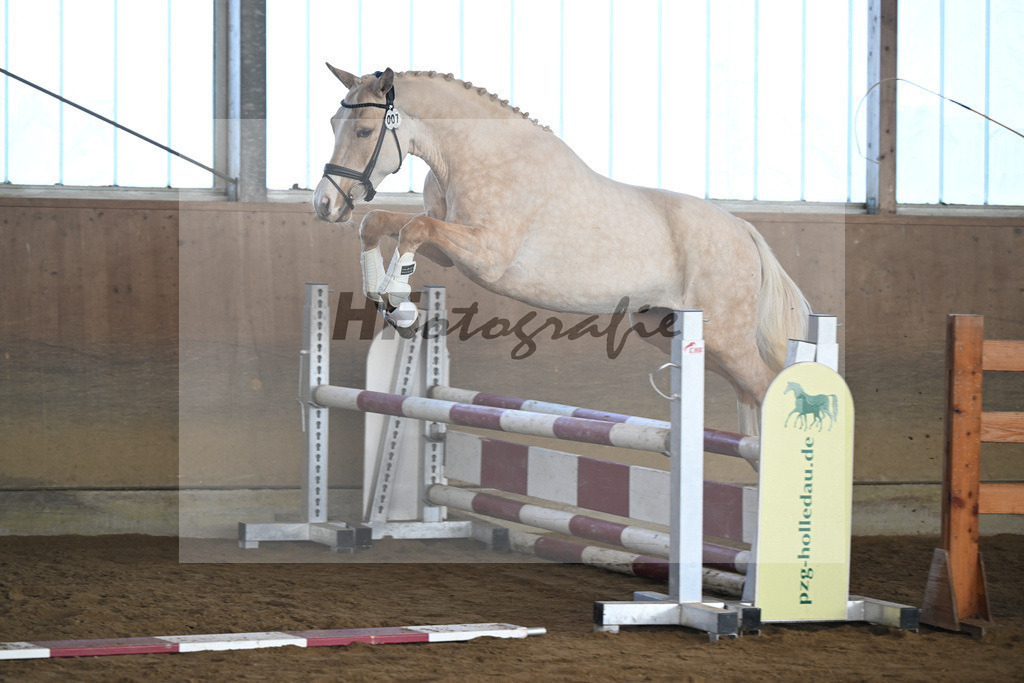 Kat-Nr. 7 Golden Jackpot v. Global Champion_Dirian_49250196 | hf-fotografie - Realisiert mit Pictrs.com