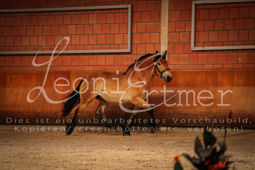 SaFL00106 | Leoni Ertmer Photography - Realisiert mit Pictrs.com