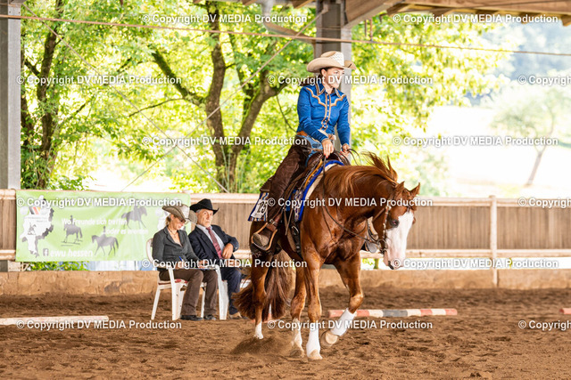 Erbach Tag 1-243 | dv-media-shop - Realized with Pictrs.com