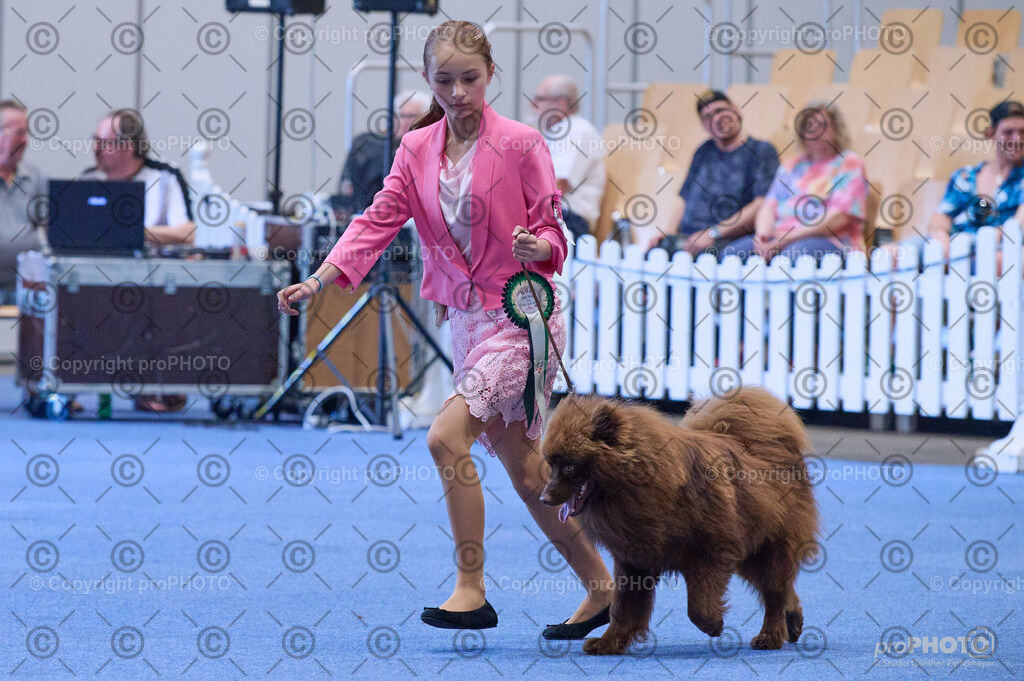 202406_ÖKV-IHA-Tulln24_DSC_3940 | proPHOTO - Realisiert mit Pictrs.com