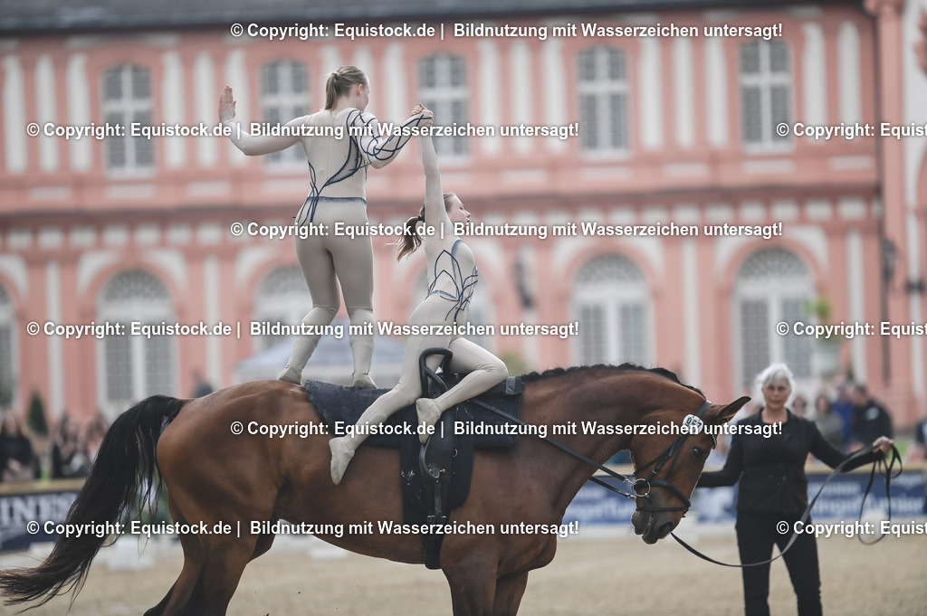 20240519_Voltige_0622 | Foto: Thomas Hartig