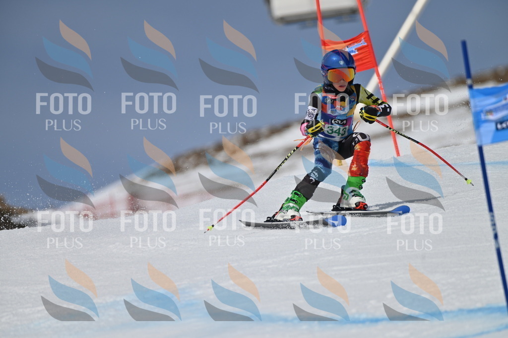 BGV_6819 | holidayphoto