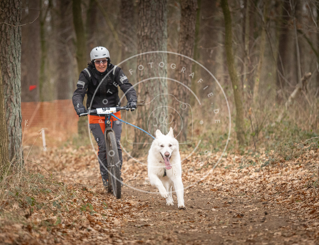 Pfotenfotografie_DV3A7209 | Hundefotografie, Tierfotograf, Pfotenfotografie, Fotoshooting Hund, Hunde Portrait, Hundesport, Hundeportraits, Heideshooting, Hunde, Sportfotograf, Hundefotograf, Turnierhundsport, THS,  - Realisiert mit Pictrs.com