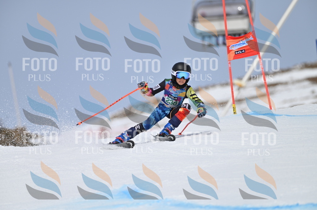 BGV_4701 | holidayphoto