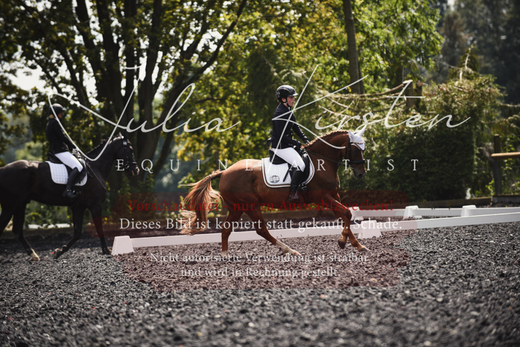 DSC_4225 | Pferde- und Turnierfotografie in Westsachsen. Pferdeportraits, Auftragszeichnungen und intuitive Kunst.