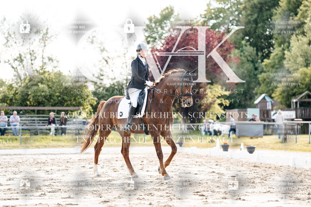 CK909769 | Turnierfotografie Pferdefotografie Trier Rheinland-Pfalz Pferdesport Reitsport Tierfotografie Sportfotografie Pferdevideo Pferdevideografie Equestrianvideography equestrianphotography  - Realisiert mit Pictrs.com