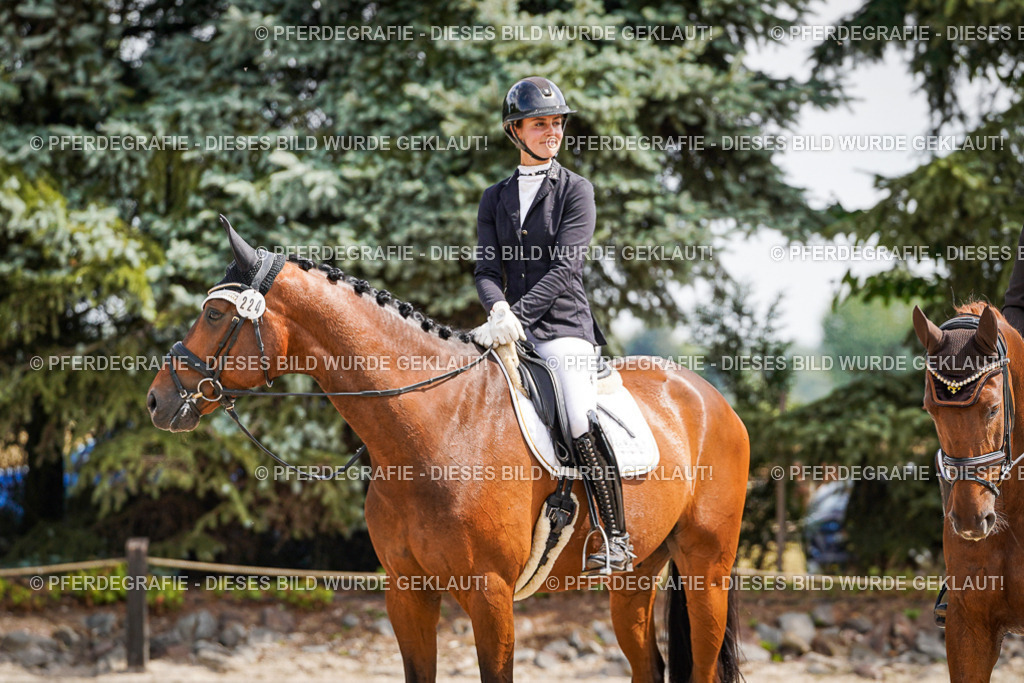 DSC09623 | Pferdegrafie