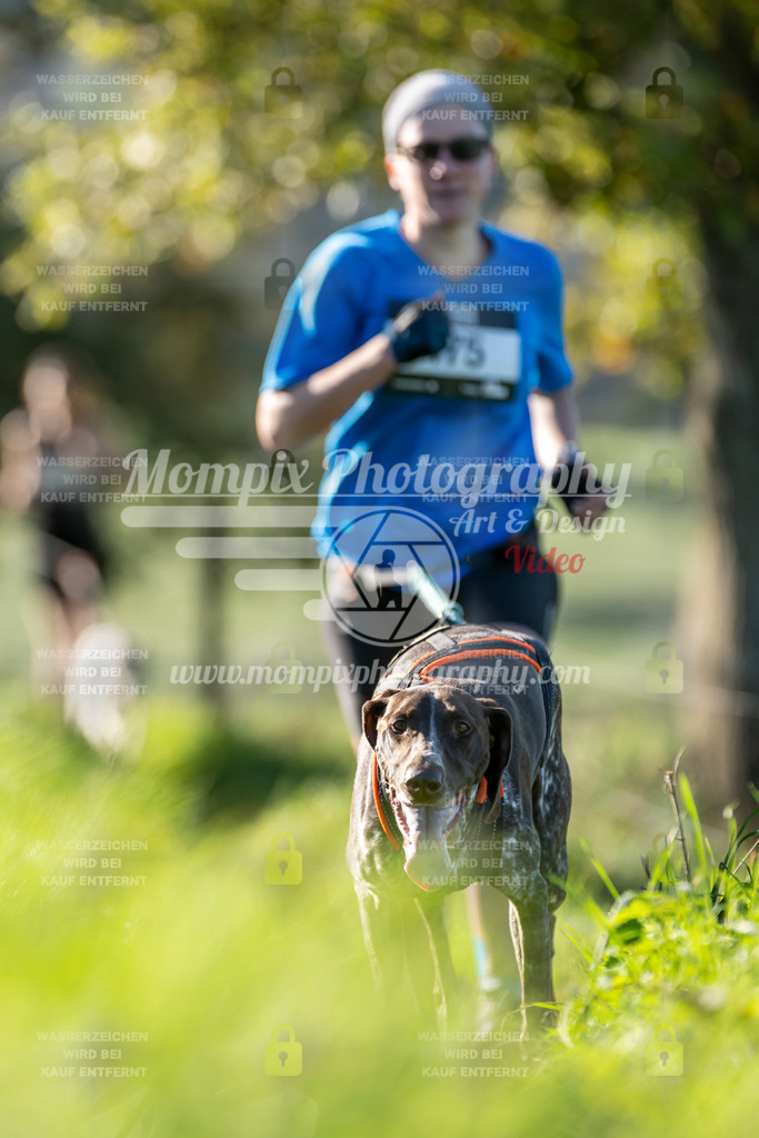 MompixPhotography_20TSB_E3_Run-123 | PayLife
