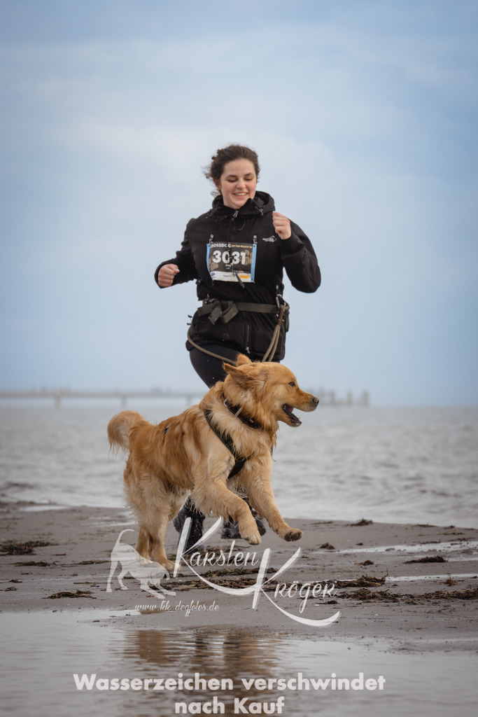 1213_ZZ95273-2 | kk-dogfotos