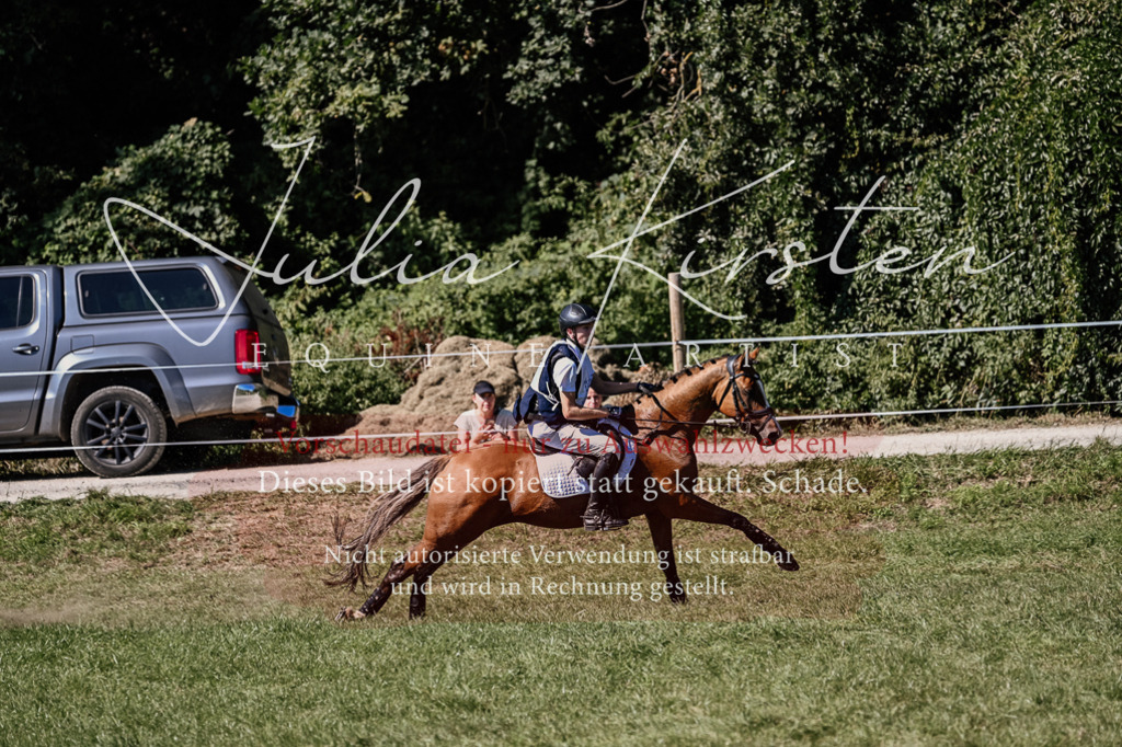 DSC_2095 | Pferde- und Turnierfotografie in Westsachsen. Pferdeportraits, Auftragszeichnungen und intuitive Kunst.