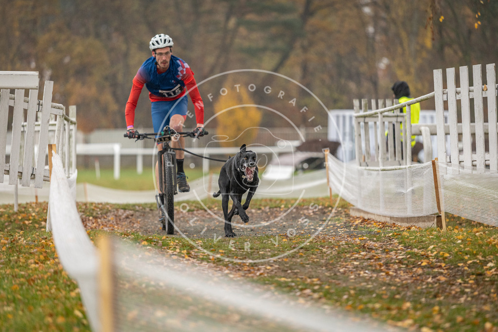 CaniXpix_DV3A7991 | Hundefotografie, Tierfotograf, Pfotenfotografie, Fotoshooting Hund, Hunde Portrait, Hundesport, Hundeportraits, Heideshooting, Hunde, Sportfotograf, Hundefotograf, Turnierhundsport, THS,  - Realisiert mit Pictrs.com