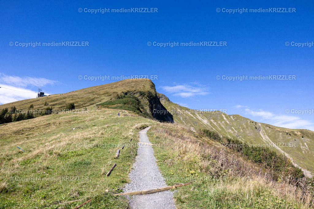 _J3A2782 | medienkrizzler - Realisiert mit Pictrs.com