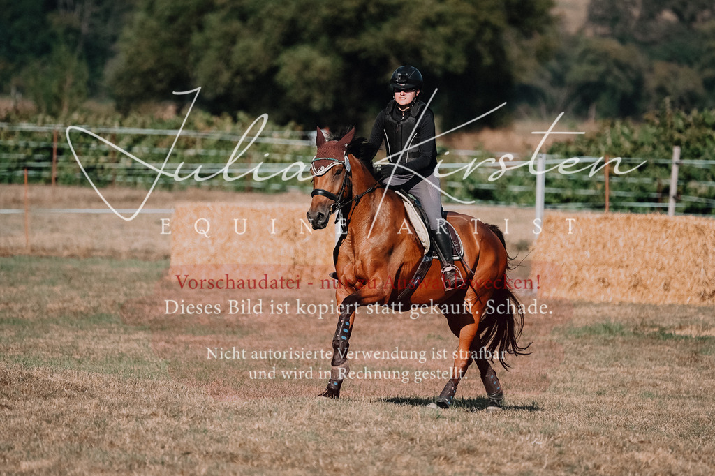 DSC_8982 | Pferde- und Turnierfotografie in Westsachsen. Pferdeportraits, Auftragszeichnungen und intuitive Kunst.