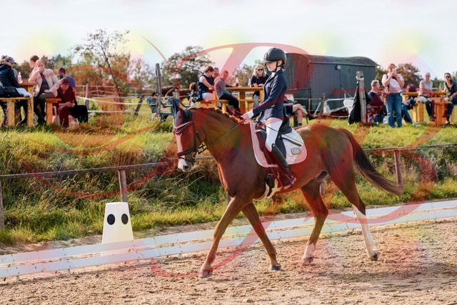 2026_10_03_Siefer-Hof_133005_Z63_91963420 | Professionelle Reitsport-, Turnier- und Eventfotografie von Robert Broda. Galerien mit ausgewählten und bearbeiteten Bildern direkt online ansehen und bestellen.
