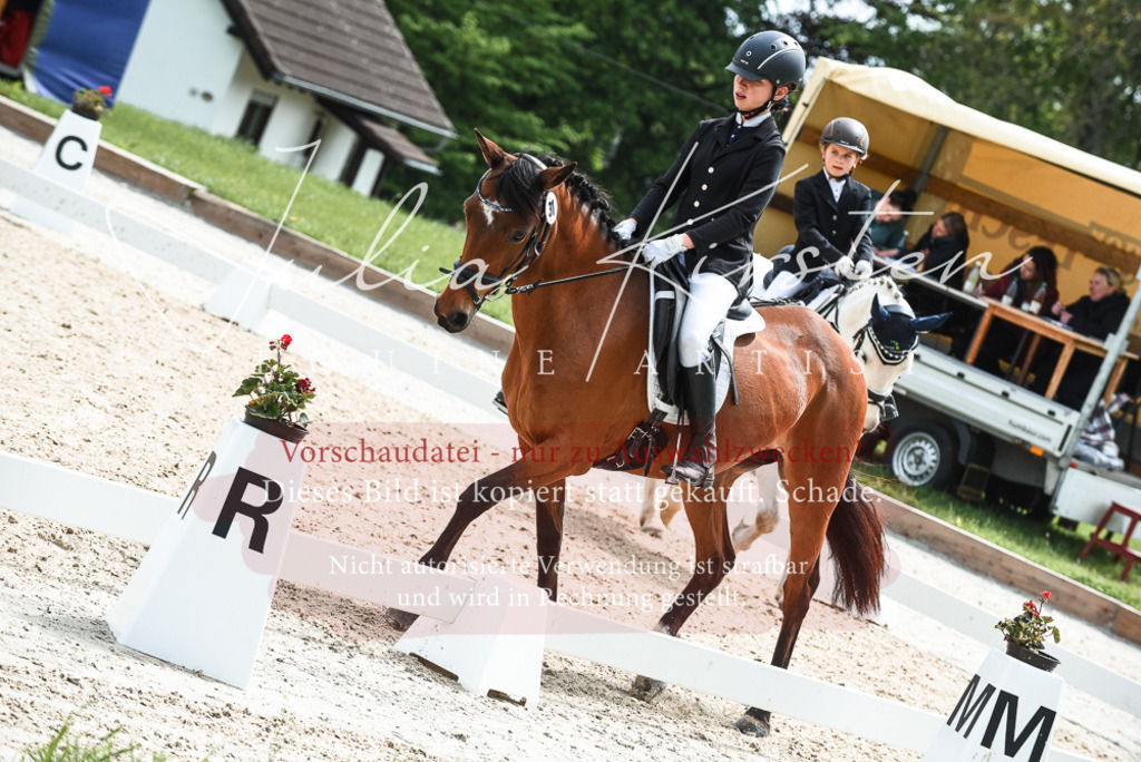20230518_JK-Röhrsdorf-11-0254 | Pferde- und Turnierfotografie in Westsachsen. Pferdeportraits, Auftragszeichnungen und intuitive Kunst.