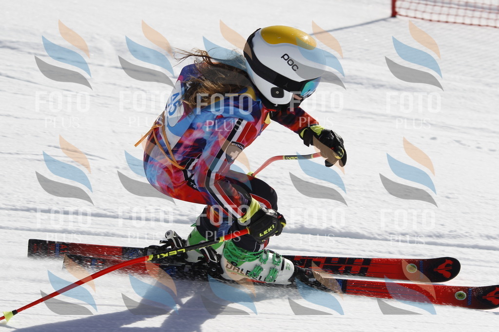 _U3G9319 | holidayphoto