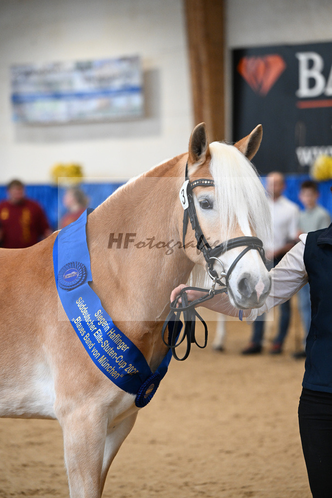 Bl. Band Kat-Nr. 3 Lorena v. Sterlington_Weber_48251519 | hf-fotografie - Realisiert mit Pictrs.com