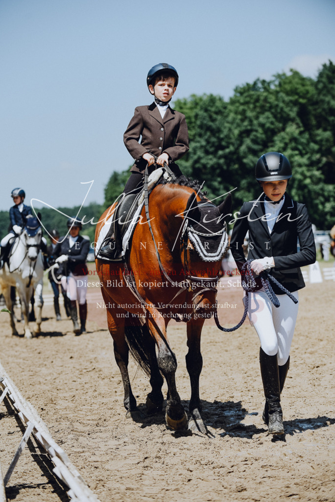 DSC_2196 | Pferde- und Turnierfotografie in Westsachsen. Pferdeportraits, Auftragszeichnungen und intuitive Kunst.