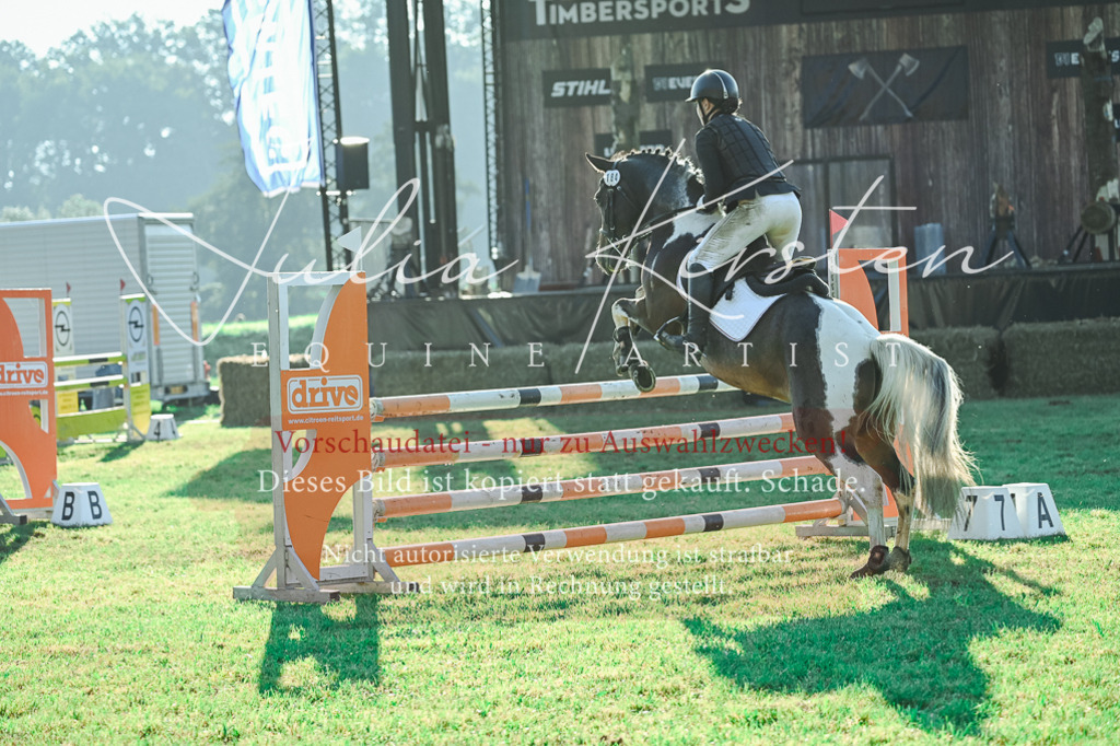 DSC_4493 | Pferde- und Turnierfotografie in Westsachsen. Pferdeportraits, Auftragszeichnungen und intuitive Kunst.