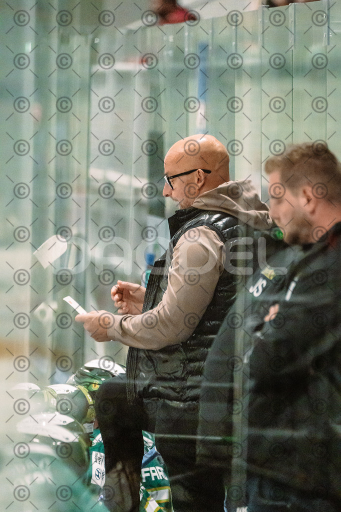 Alligatros_vs_Leipzig_11_09_2026-13 | Die Fotogalerie von Daddel: professionelle Bilder von Sport, Events und Unternehmen aus Franken. Jetzt Galerien durchstöbern und Lieblingsfotos bestellen. - Realisiert mit Pictrs.com