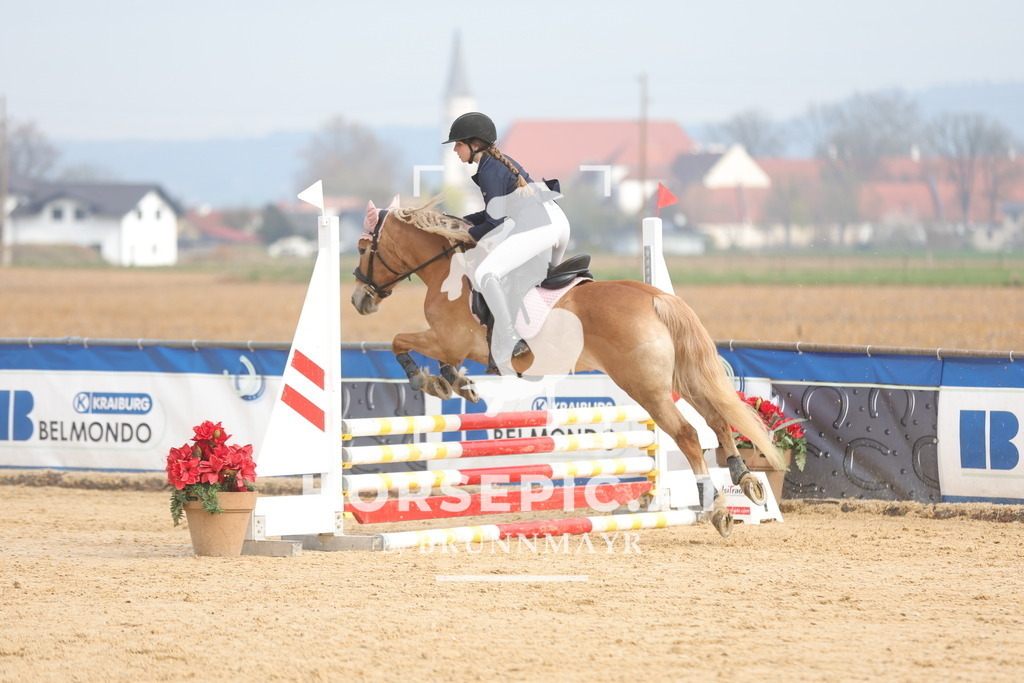 0P6A8997 | Willkommen bei Brunnmayr - Design & Fotografie – Ihrem Spezialisten für Reitturniere und Pferdeveranstaltungen in Oberösterreich, Salzburg und Bayern! Seit über 17 Jahren sind wir leidenschaftlich dabei.