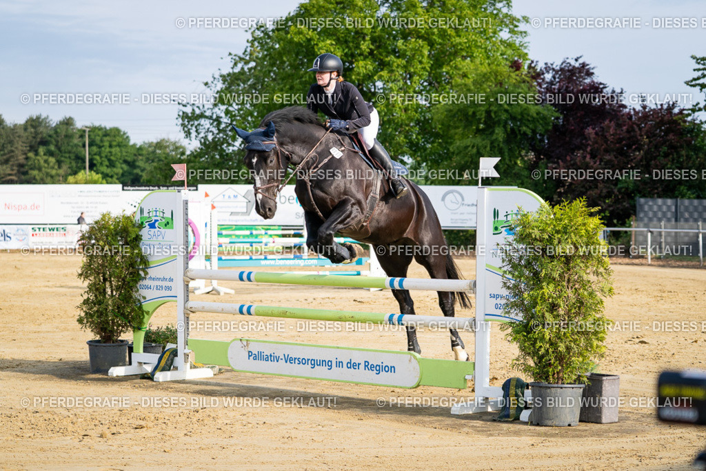 DSC02848 | Pferdegrafie