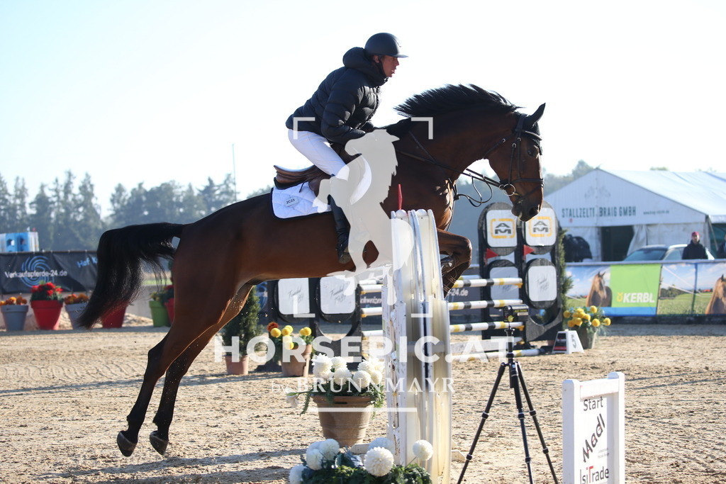 DL2Q0697 | Willkommen bei Brunnmayr - Design & Fotografie – Ihrem Spezialisten für Reitturniere und Pferdeveranstaltungen in Oberösterreich, Salzburg und Bayern! Seit über 17 Jahren sind wir leidenschaftlich dabei.