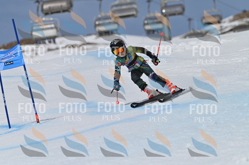 BGV_6780 | holidayphoto