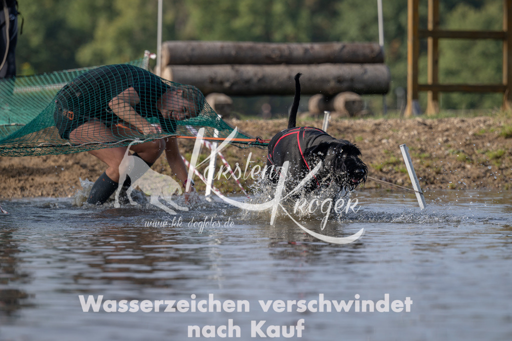 1022_ZZ93034 | kk-dogfotos