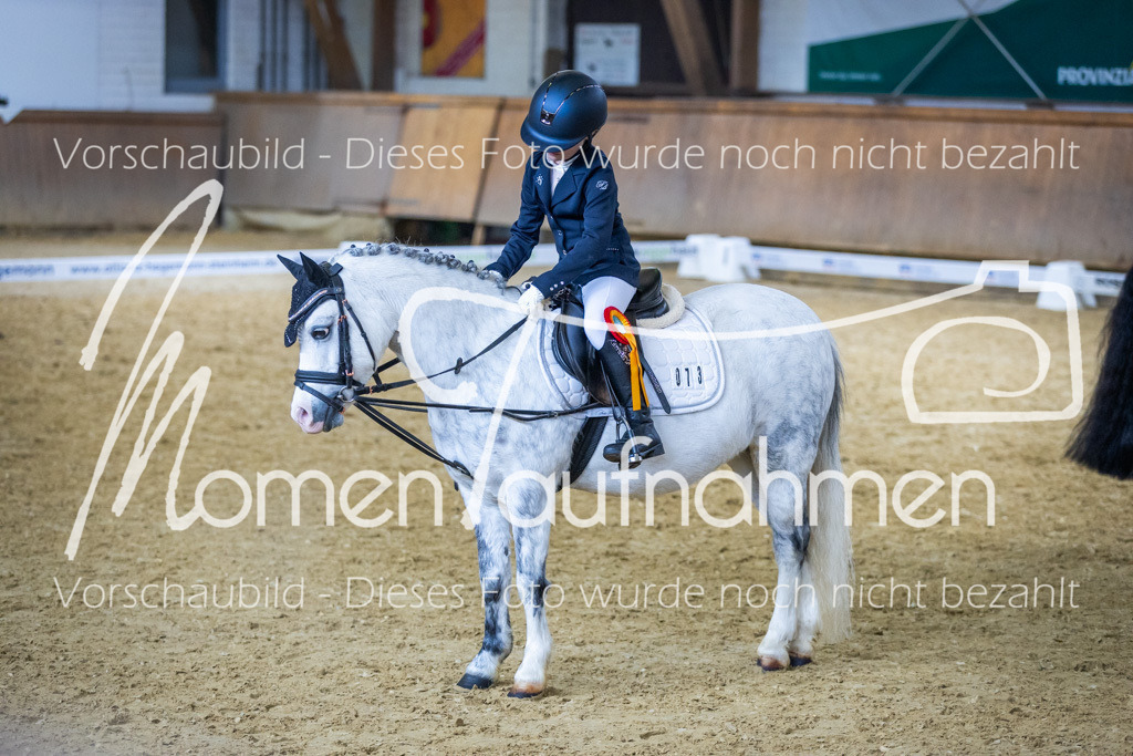 Sth-WBO25-RWBST-028 | MomenTaufnahmen Pferdesportfotos